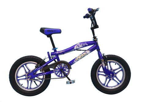 Alloy Rim Fat Tire Children Bike 16 inch blue