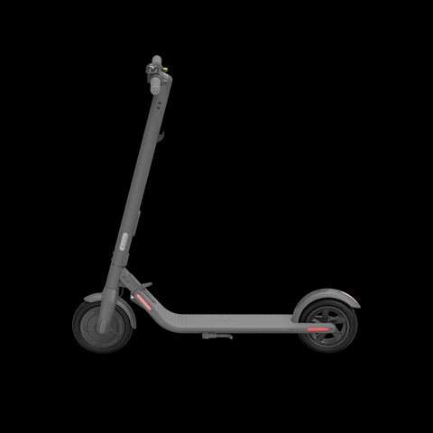 Segway Ninebot Kick Scooter E22 Electric Scooter