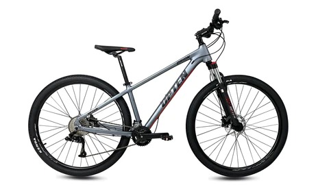 Upten Orion Alloy 29 inch Mountain Bike 20 Speed GRERY