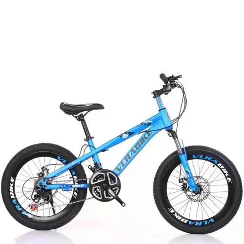 VLRA 20 inch Mountain Bike 21 Speed Blue