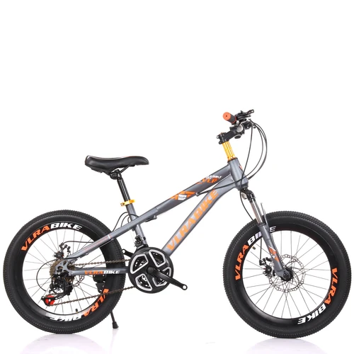 VLRA 20 inch Mountain Bike 21 Speed GREY