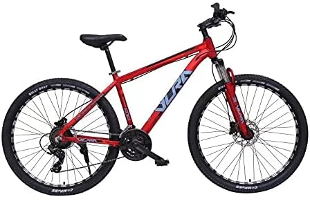 VLRA BIKE 2022 years flagship product 26-inch 24-speed mountain bike latest model red