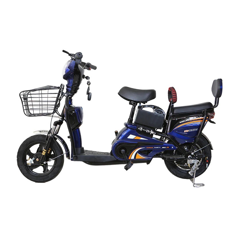 Winner Sky Delivery Electric Bike blue